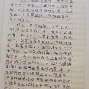 篮球训练心得体会300字左右作文怎么写